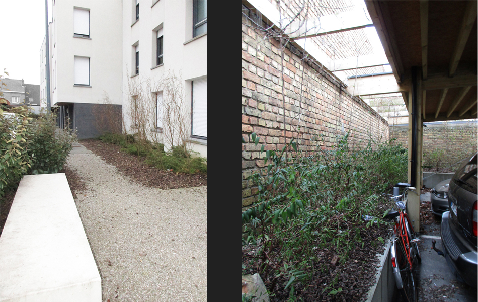 Photos 1